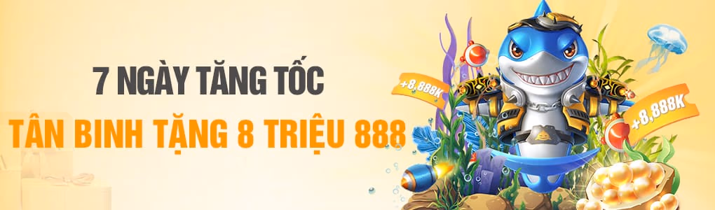 code net88win hoàn cược